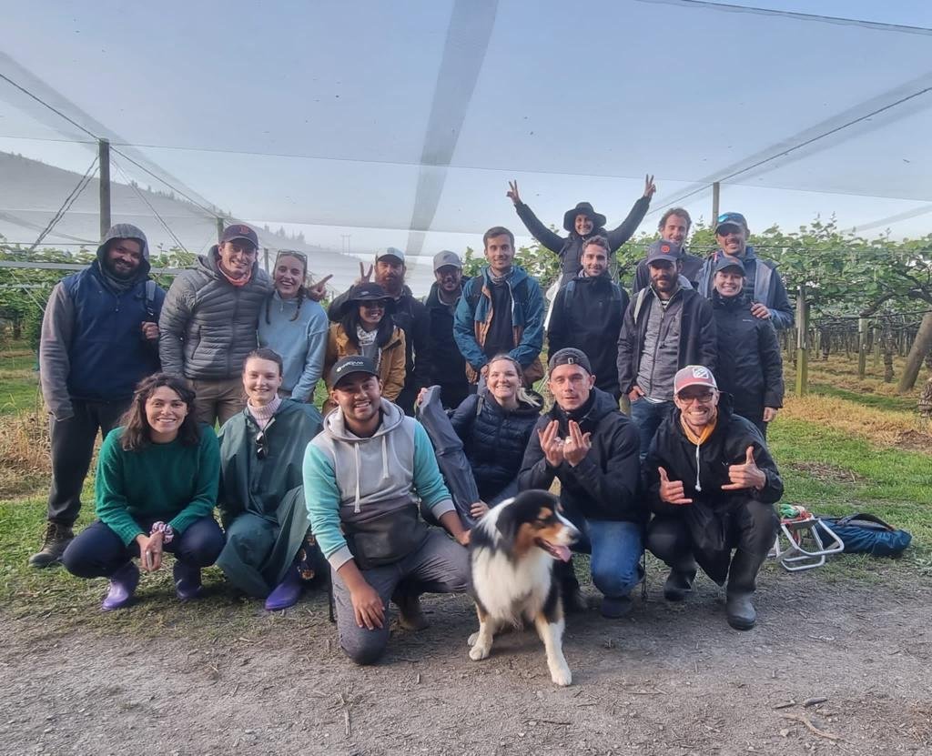 Vardaan Enterprises - Feel the Kiwi